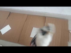 สีสเปรย์อเนกประสงค์กันน้ำ 400 มล. สีอะครีลิคแห้งเร็ว